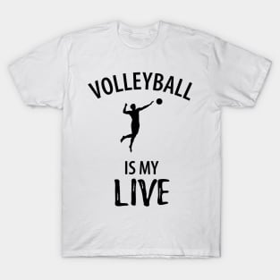Volleyball Sport Team Play Gift T-Shirt